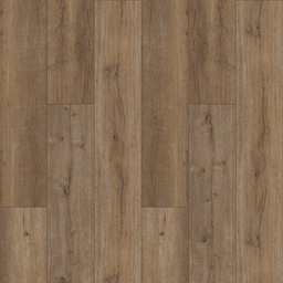 Cebeci